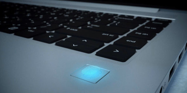 HP screen protectors available at Screenshield